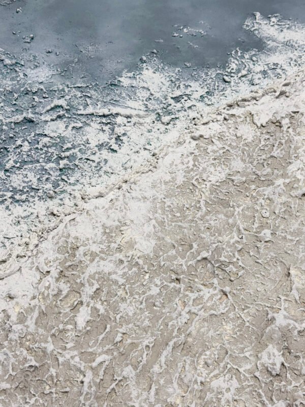 IMG_7421 2 Renacer Entre Mareas