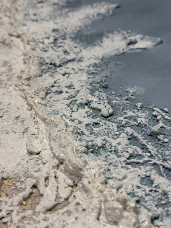 IMG_7427 2 Renacer Entre Mareas