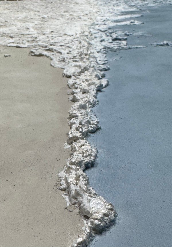 IMG_7428 Renacer Entre Mareas